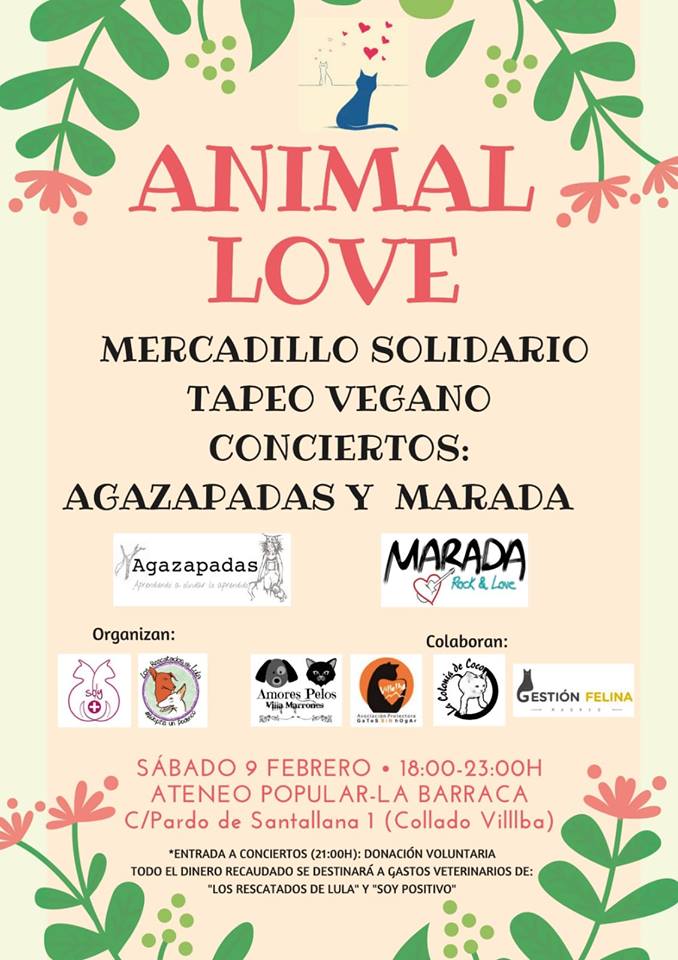 Animal Love