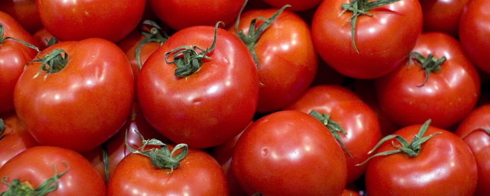 ¿El tomate es una verdura o una fruta?