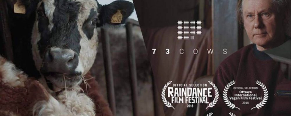 73 Cows disponible en Vimeo