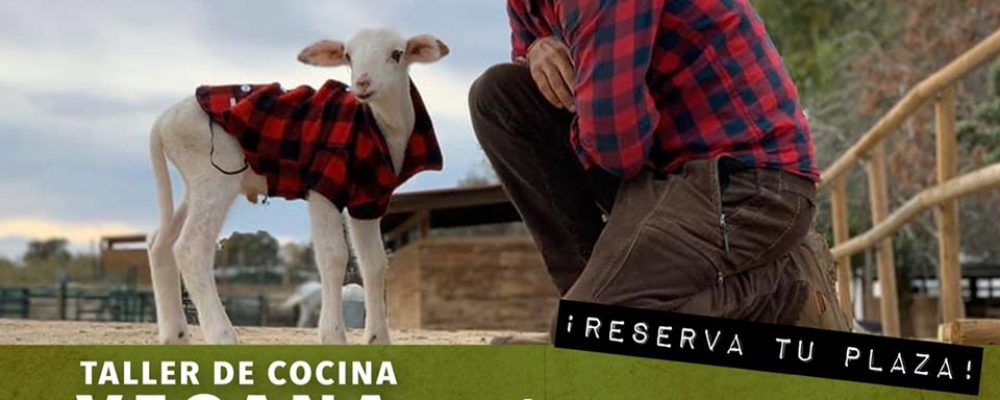 Taller solidario de Santuario Vegan