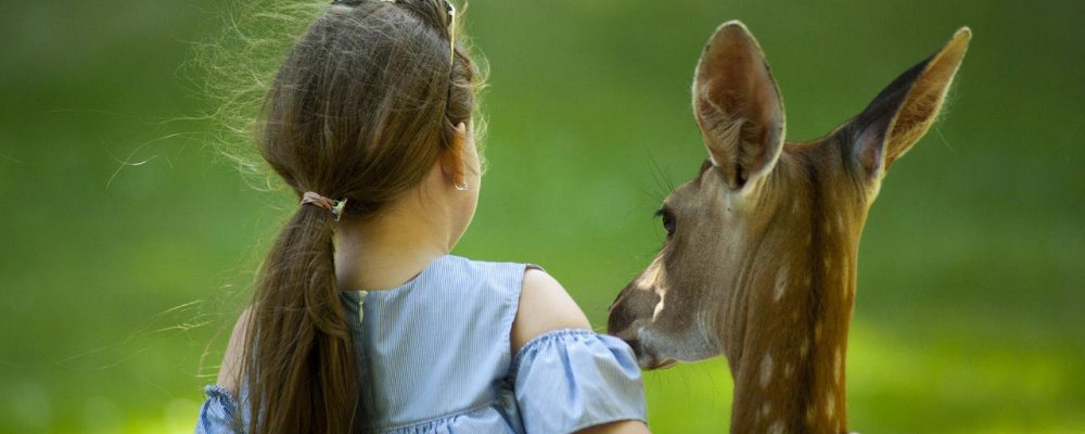 “Respeto a los animales”. Nueva asignatura de algunos colegios