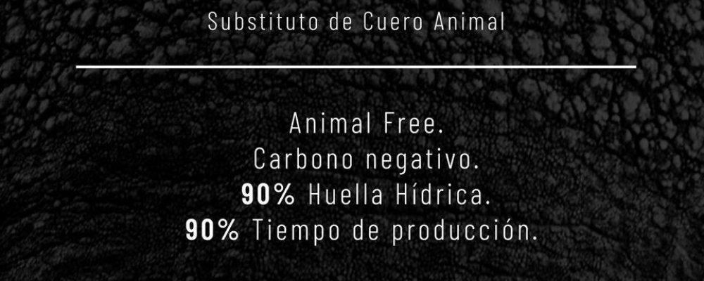 Empresa mexicana crea cuero a partir de bacterias