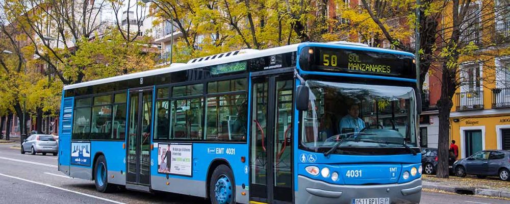 Los perros podrán subir a los autobuses de la EMT en Madrid