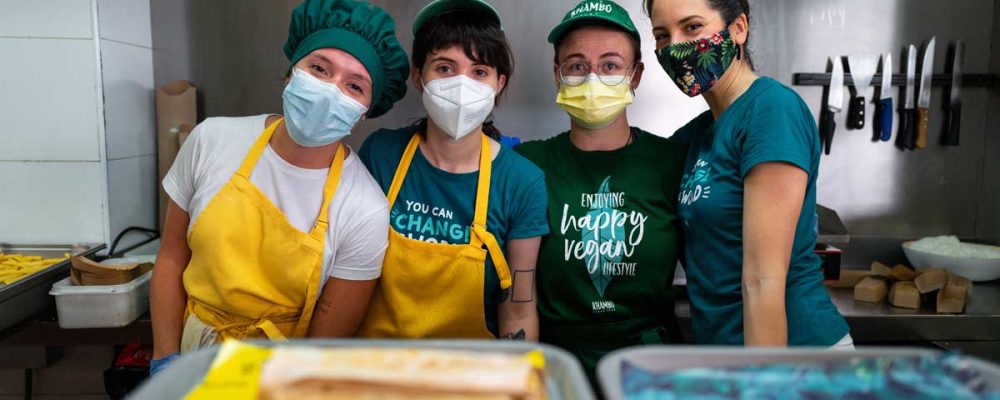 Perfil y estado actual del sector plant-based en España