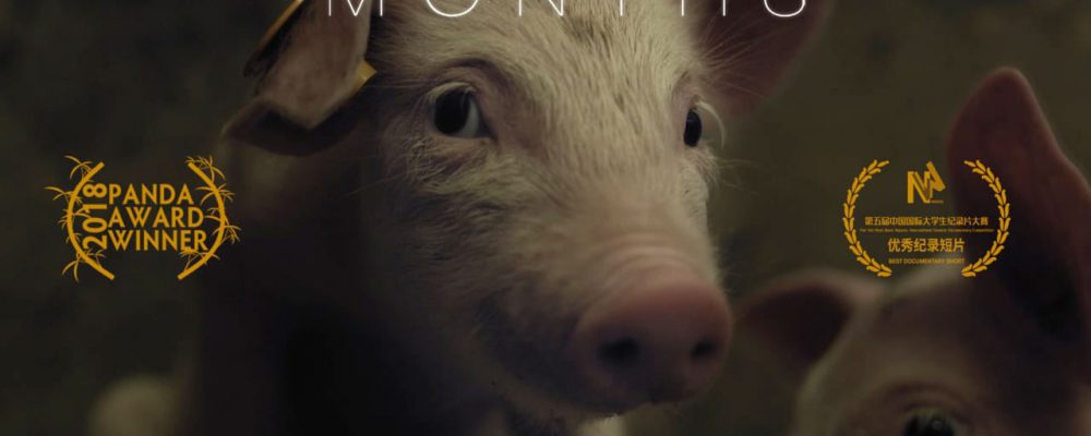 Estreno de M6NTHS (6 Meses)