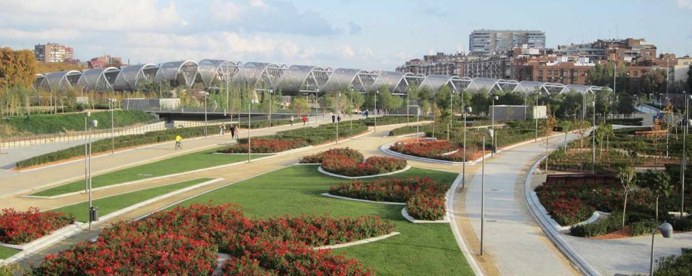 Opciones vegetarianas y veganas en Madrid Río