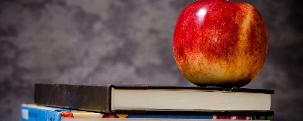Tipos de manzanas – ¿Cuál es la mejor?