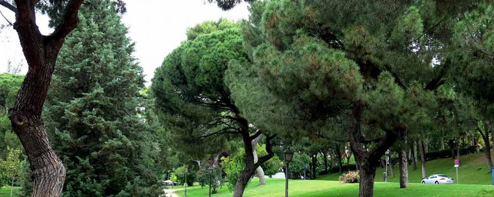 Comer cerca del Parque del Oeste – Restaurantes