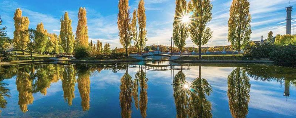 Guía veggie del norte de Madrid
