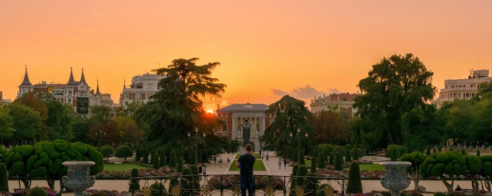 Guía vegana y vegetariana de Retiro