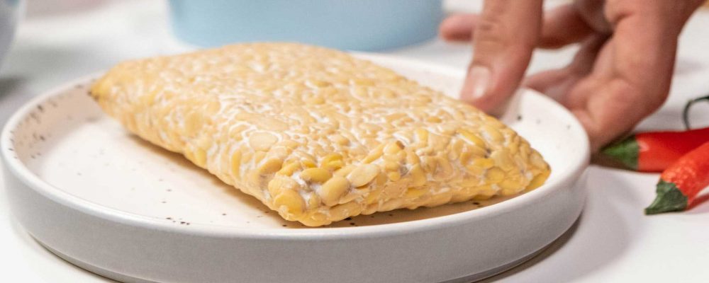 ¿Qué es el tempeh? – Comprar tempeh en Madrid
