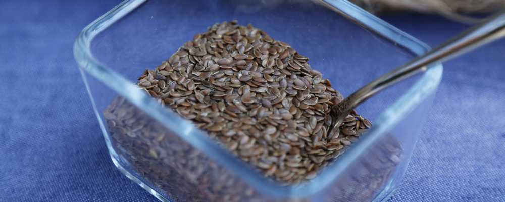 Beneficios y contraindicaciones del lino