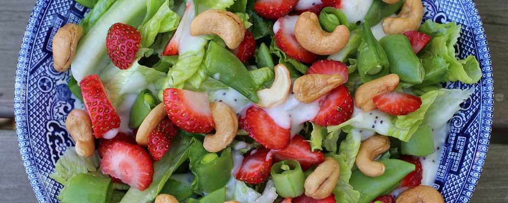 Anacardo – Fuente de proteínas