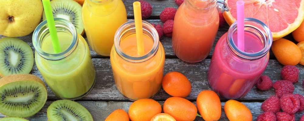 Dieta frugívora – Frugívoros – Peligros